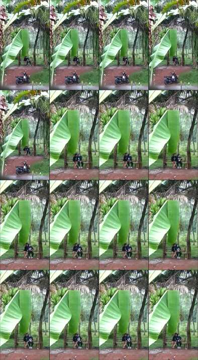 Video Pacaran Di Kebon Terekam | KingBokep